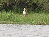 IMG_2831.JPG