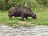 IMG_2833.JPG