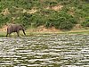 IMG_2835.JPG