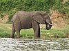IMG_2836.JPG