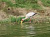 IMG_2838.JPG