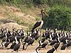 IMG_2850.JPG