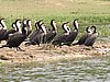 IMG_2853.JPG