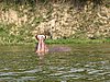 IMG_2854.JPG