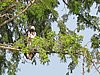 IMG_2855.JPG