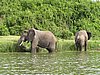 IMG_2856.JPG