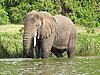 IMG_2857.JPG
