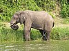 IMG_2859.JPG