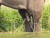 IMG_2860.JPG