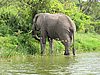 IMG_2864.JPG