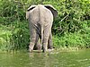 IMG_2866.JPG