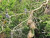 IMG_2869.JPG