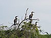 IMG_2870.JPG