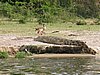 IMG_2873.JPG