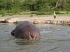 IMG_2875.JPG