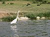 IMG_2877.JPG