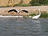 IMG_2879.JPG