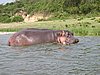 IMG_2880.JPG