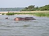 IMG_2881.JPG
