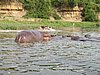IMG_2882.JPG