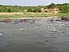 IMG_2884.JPG