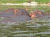 IMG_2886.JPG