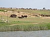 IMG_2890.JPG