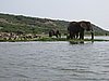 IMG_2893.JPG