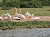 IMG_2894.JPG