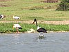 IMG_2896.JPG