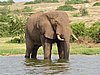 IMG_2897.JPG