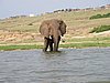 IMG_2899.JPG