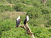 IMG_2901.JPG
