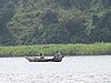 IMG_2903.JPG