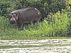 IMG_2905.JPG