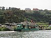 IMG_2906.JPG