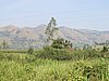 IMG_2907.JPG