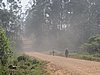 IMG_2908.JPG