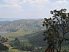 IMG_2930.JPG