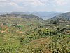 IMG_2935.JPG