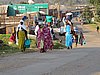 IMG_2943.JPG