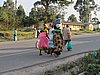 IMG_2955.JPG