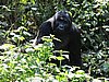 IMG_2981.JPG