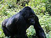 IMG_2982.JPG