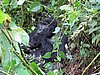 IMG_2992.JPG