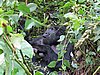 IMG_2996.JPG