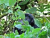 IMG_3001.JPG