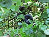 IMG_3002.JPG