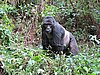 IMG_3023.JPG