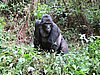 IMG_3024.JPG